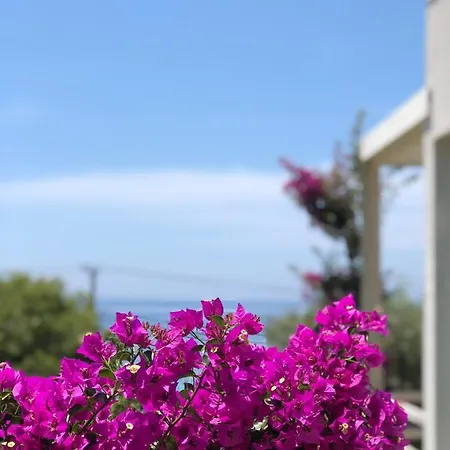 Jon Hotel Dhermi