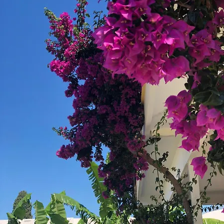 Jon Hotel
