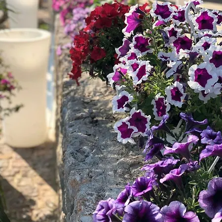 Jon Hotel Dhermi