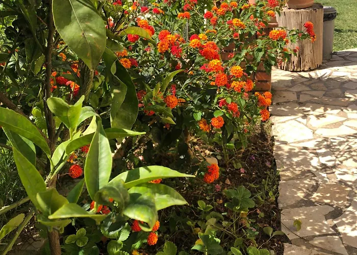 فندق Jon ديرمي