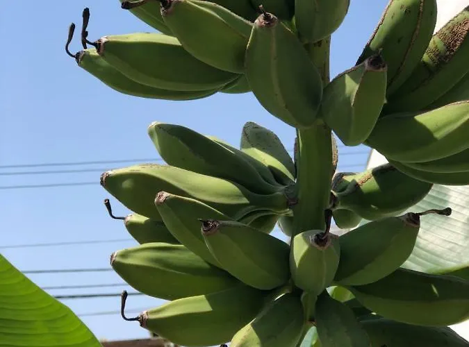 Jon فندق ديرمي