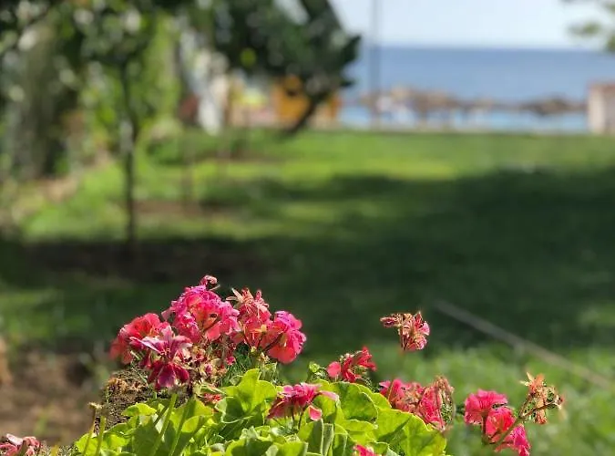 Jon فندق ديرمي